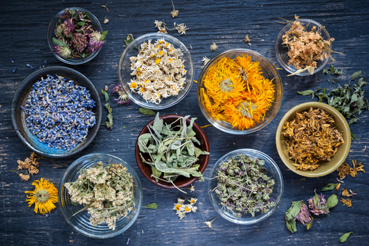 Top-down view of dried ritual herbs—lavender, yarrow, calendula, and sage—arranged in glass bowls on a dark wood table for Norse-inspired spiritual practice.